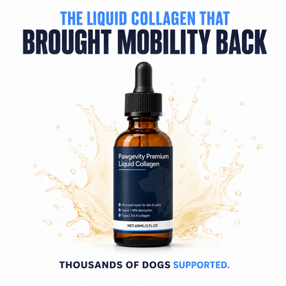 Pawgevity Premium Liquid Collagen