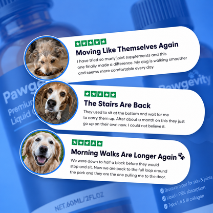 Pawgevity Premium Liquid Collagen