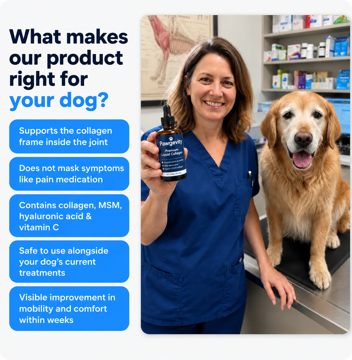 Pawgevity Premium Liquid Collagen
