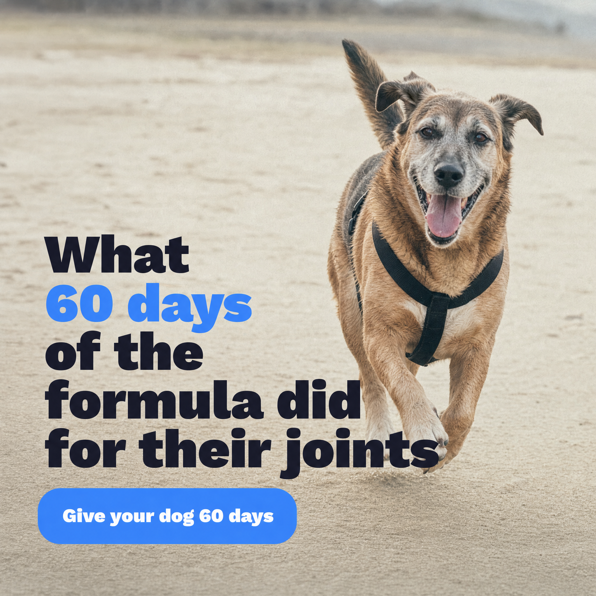 Pawgevity Premium Liquid Collagen