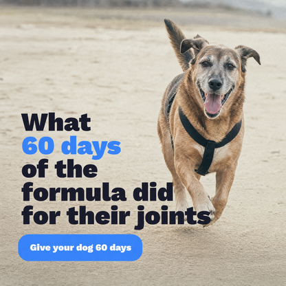 Pawgevity Premium Liquid Collagen